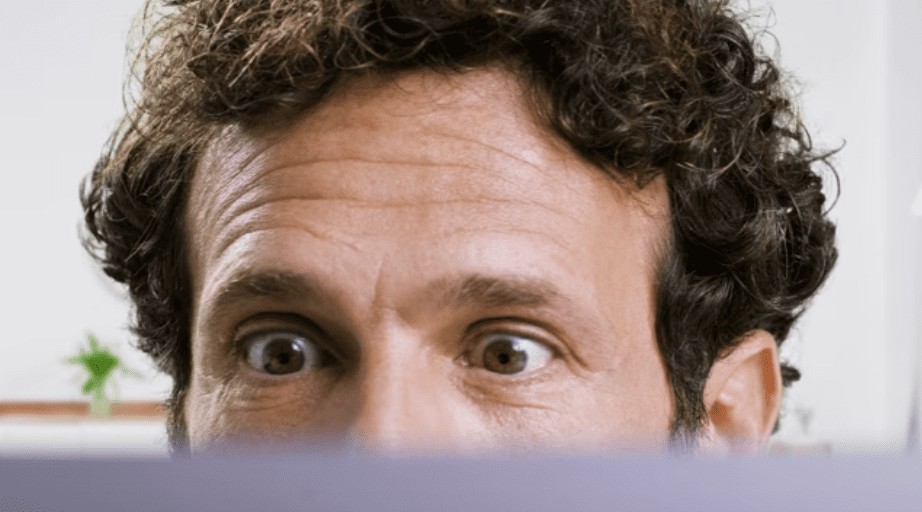 HOCELOT ¿Conoces a Miki?